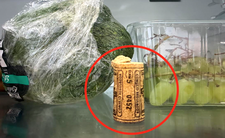 Korek od wina w lodówce