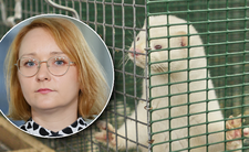 Likwidacja ferm futrzarskich w Polsce