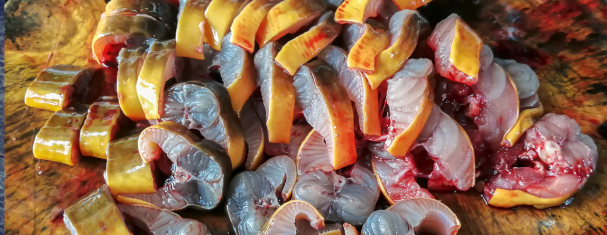 Węgorz, ryba zamiast łososia