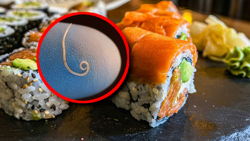 Sushi, pasożyty i bakterie