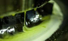 Olej rydzowy, zdrowie, kalorie, dieta