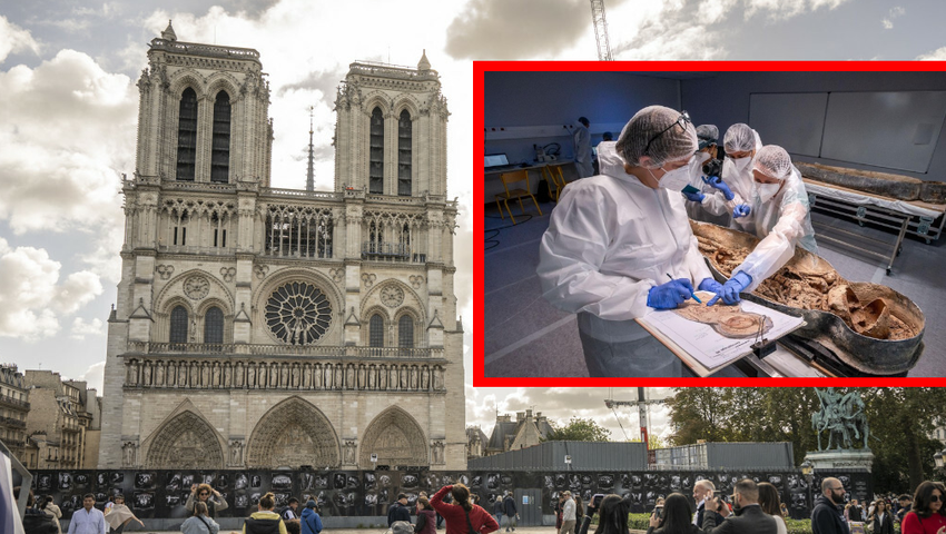 Katedra Notre Dame, odkrycie, historia Francji