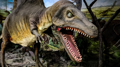 Dinozaur spinozaur