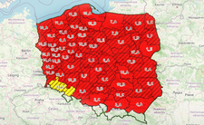 Zagrożenie pożarowe w Polsce. Lasy Państwowe: "Najwyższy stopień"