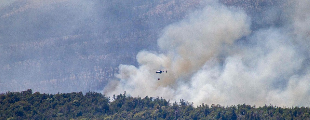 Pożar parku narodowego w Argentynie