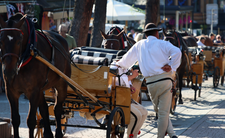 Zakopane, ceny w Zakopanem. Taksówka w Zakopanem i