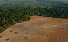 Brazylia i nowa zapora wodna Castanheira. Zniszczenia dorzecza Amazonii i zagłada zagrożonych gatunków?