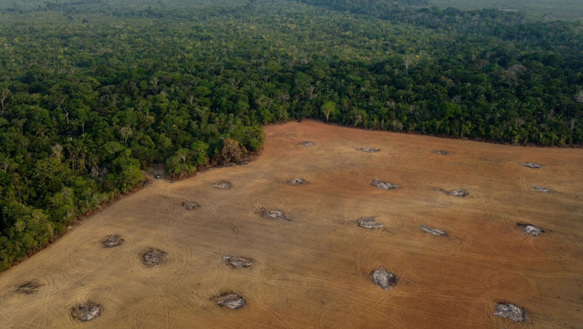 Brazylia i nowa zapora wodna Castanheira. Zniszczenia dorzecza Amazonii i zagłada zagrożonych gatunków?