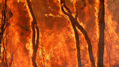 Australia kontra rekordowe temperatury, susza, pożary buszu, upały