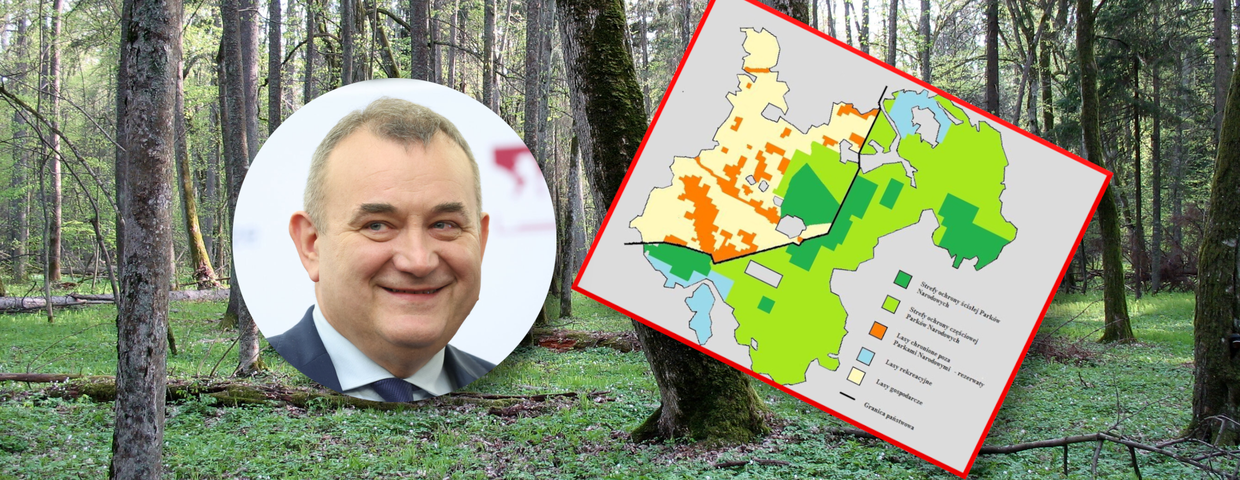 Ochrona Puszczy Białowieskiej - jest projekt ustawy