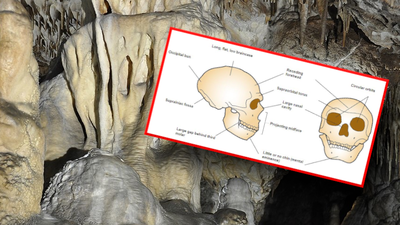 Odkrycia w Jaskini Raj powiązane z neandertalczykami