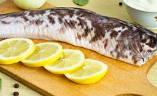 Ryba miętus, Lota lota