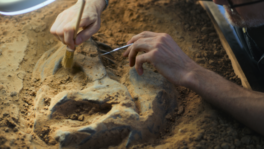 Mexidracon longimanus, nowy gatunek dinozaura