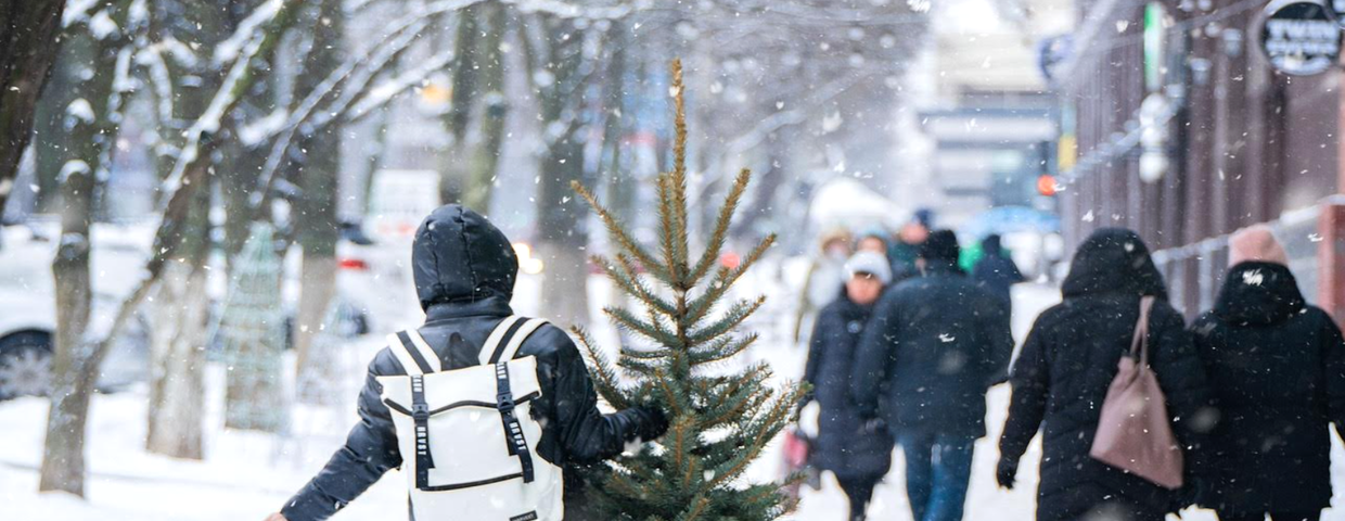 Taka ma być pogoda w Święta i Sylwestra