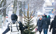 Taka ma być pogoda w Święta i Sylwestra