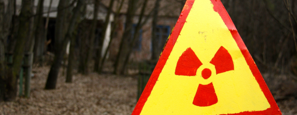 Czarnobyl, odkryli ekstremalne grzyby