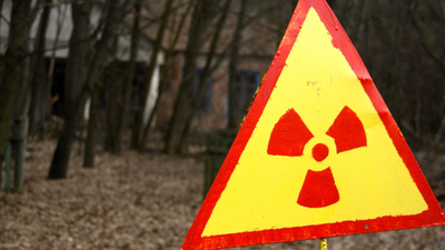 Czarnobyl, odkryli ekstremalne grzyby
