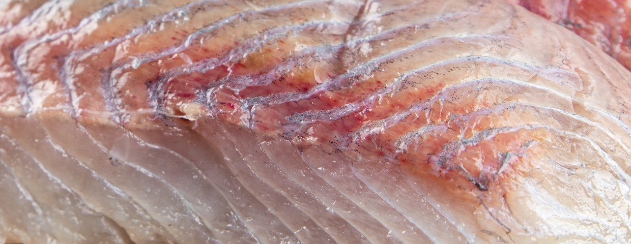 Halibut - wartości odżywcze