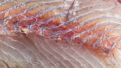 Halibut - wartości odżywcze