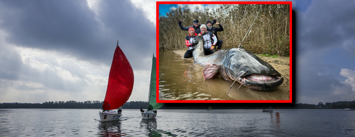 Sum gigant, nowy rekord