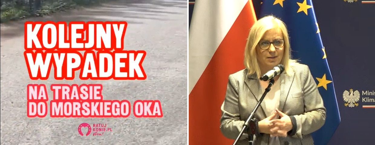 Hennig-Kloska reaguje na upadek konia w drodze nad Morskie Oko