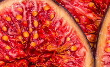 Figi - zdrowie, owoce, wartości odżywcze