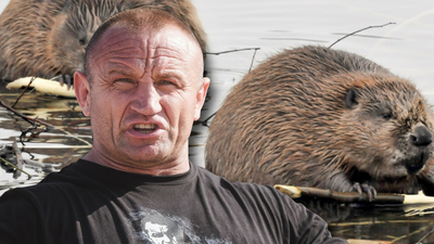 Mariusz Pudzianowski kontra bobry w Polsce. Nowa walka Pudziana poza KSW