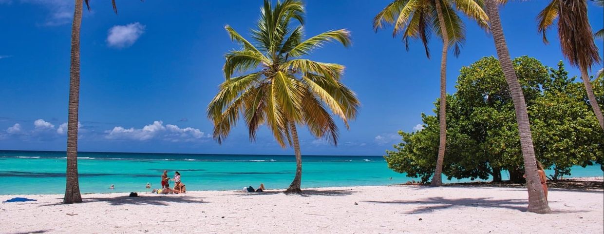Egzotyczne wakacje, plaża z palmami