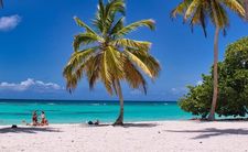 Egzotyczne wakacje, plaża z palmami