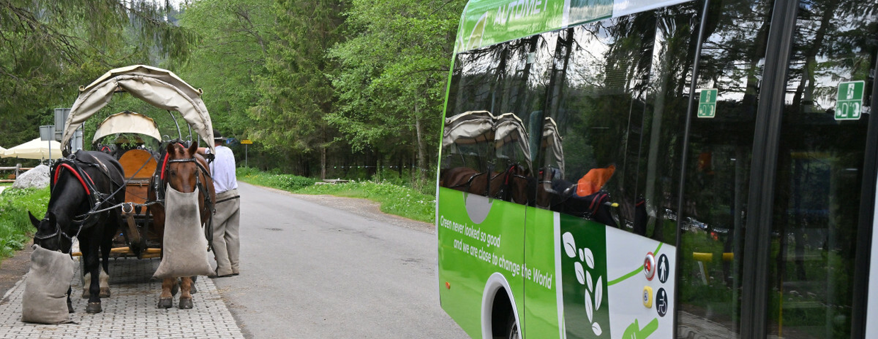 Bus do Morskiego Oka
