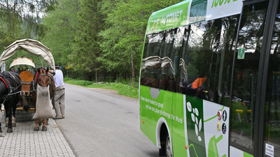 Bus do Morskiego Oka