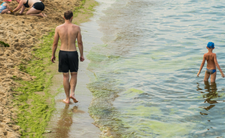 Bałtyk skażony? Wykryli toksyczne metale ciężkie w Morzu Bałtyckim