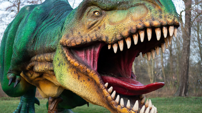 Tyranozaur nie umiał polować? Paleontolodzy o nowych badaniach
