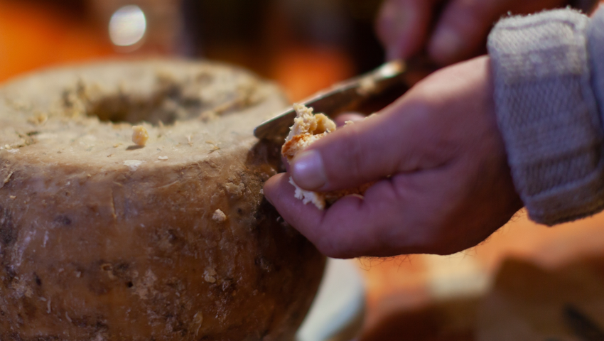 Casu marzu, straszny włoski ser z robakami