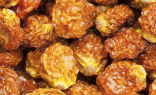 Suszone jagody inkaskie