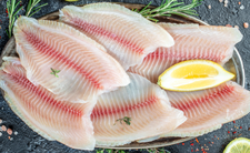 Tilapia. Zdrowa ryba czy gorsza niż panga?