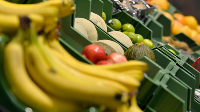 Koniec bananów? "Epidemia, bananowy covid-19"
