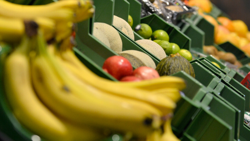 Koniec bananów? "Epidemia, bananowy covid-19"