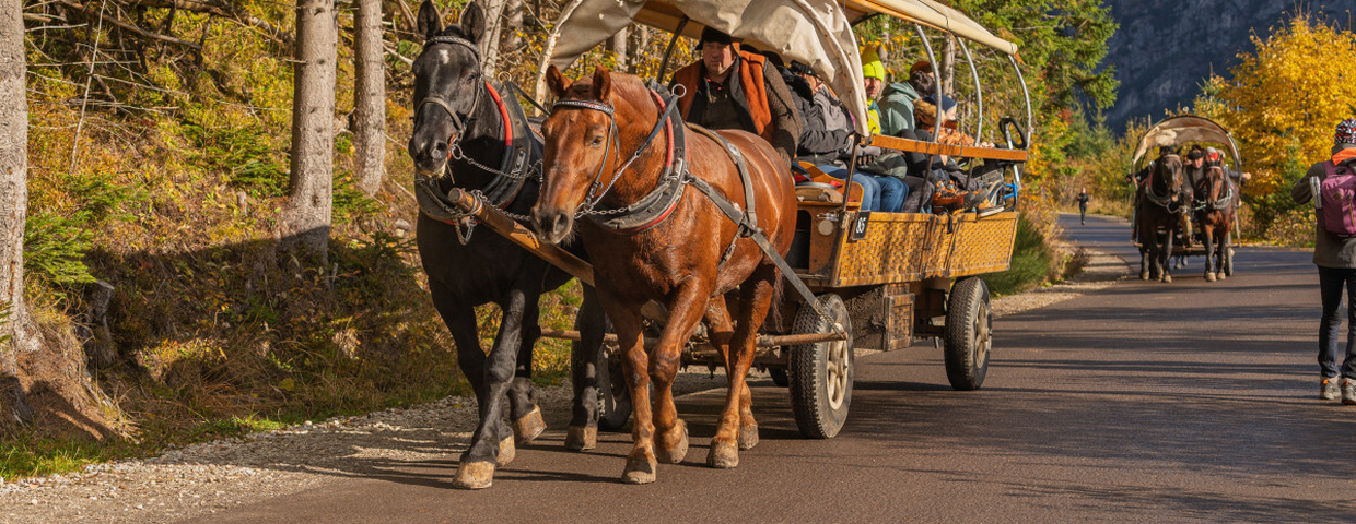 Tatry, wycofane busy do Morskiego Oka
