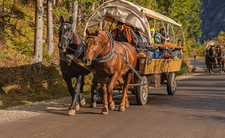 Tatry, wycofane busy do Morskiego Oka