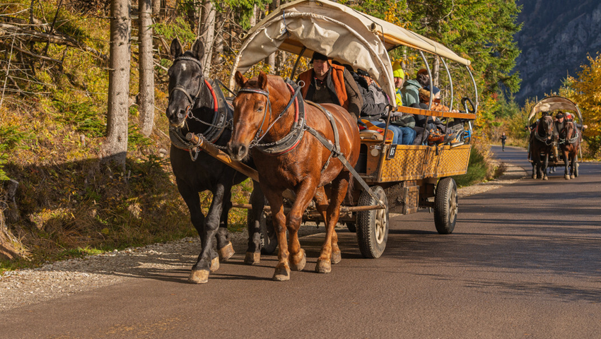 Tatry, wycofane busy do Morskiego Oka