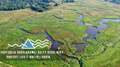 Delta rzeki Nidy