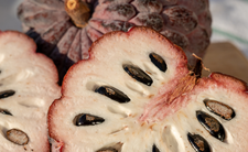 Czerymoja, najzdrowsze owoce świata