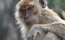 NABR składa uzupełnioną petycję