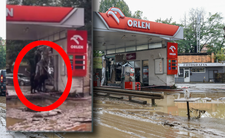 Powódź, Kłodzko, szabrownicy