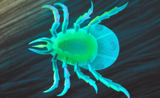 Kleszcze w Polsce już aktywne. Jakie przenoszą choroby?