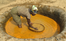 Jak produkuje się olej palmowy? Jaki jest wpływ oleju palmowego w składzie na zdrowie