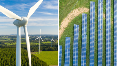 Ptaki umierają przez rozwój odnawialnych źródeł energii