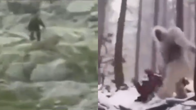 Czy Yeti istnieje naprawdę?