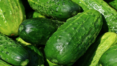 Ogórki